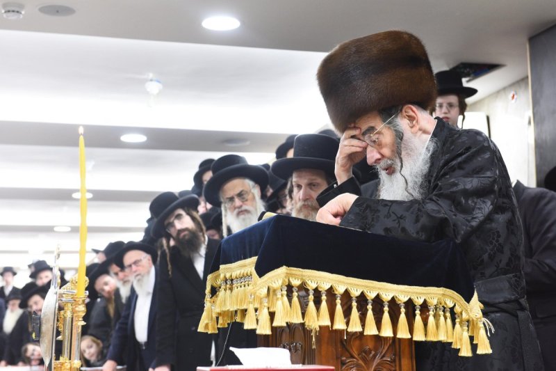 שוקי לרר