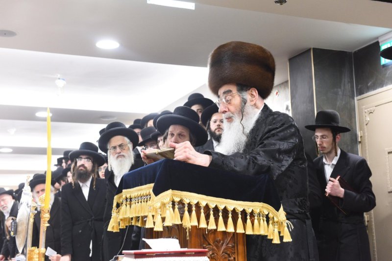 שוקי לרר