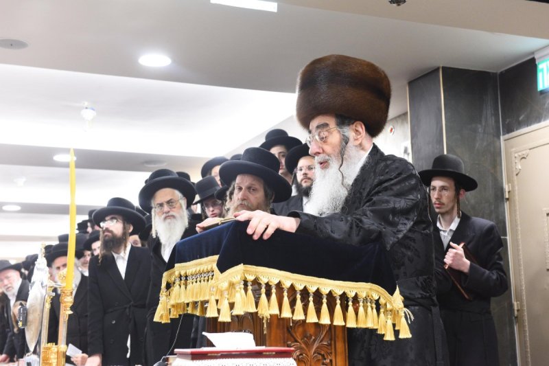 שוקי לרר