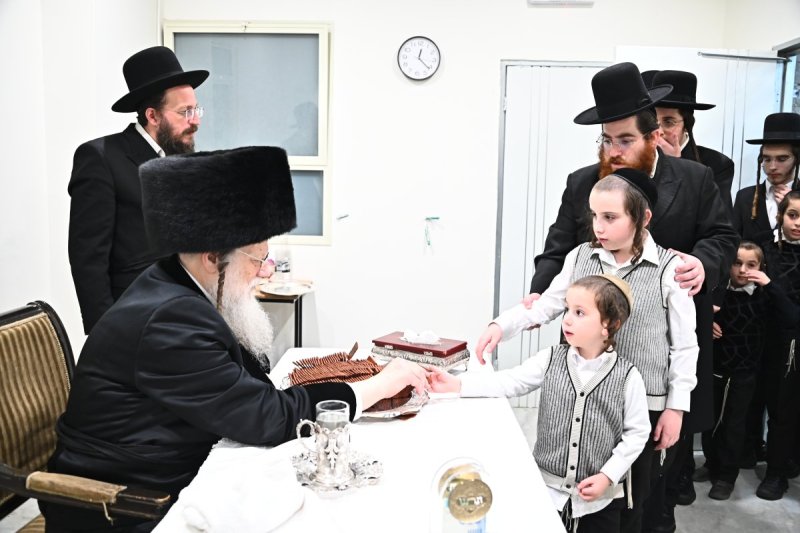 שוקי לרר