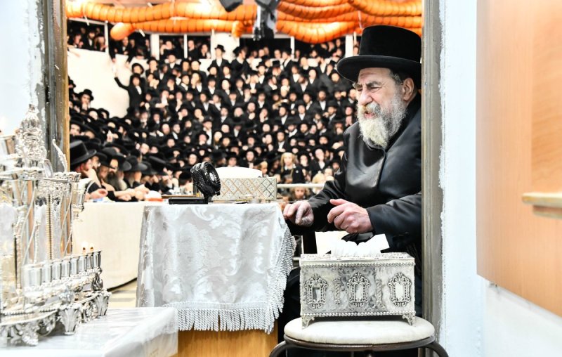 שוקי לרר