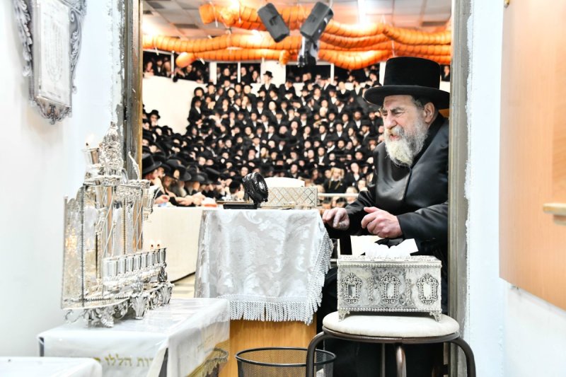 שוקי לרר