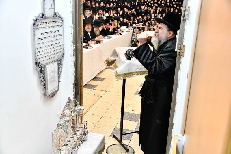 שוקי לרר