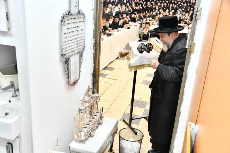 שוקי לרר