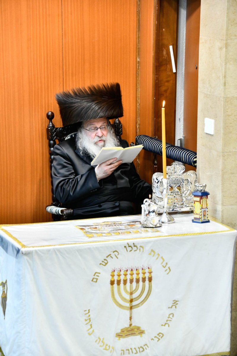 שוקי לרר