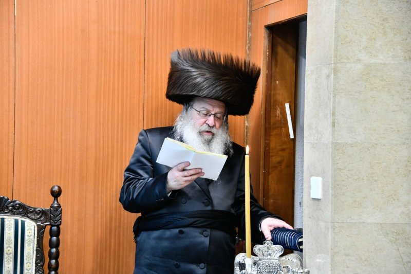 שוקי לרר