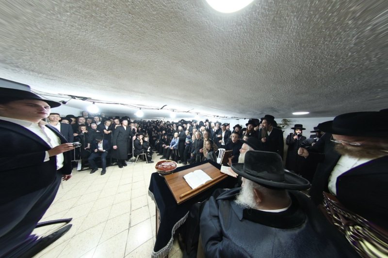 דוד ארזני