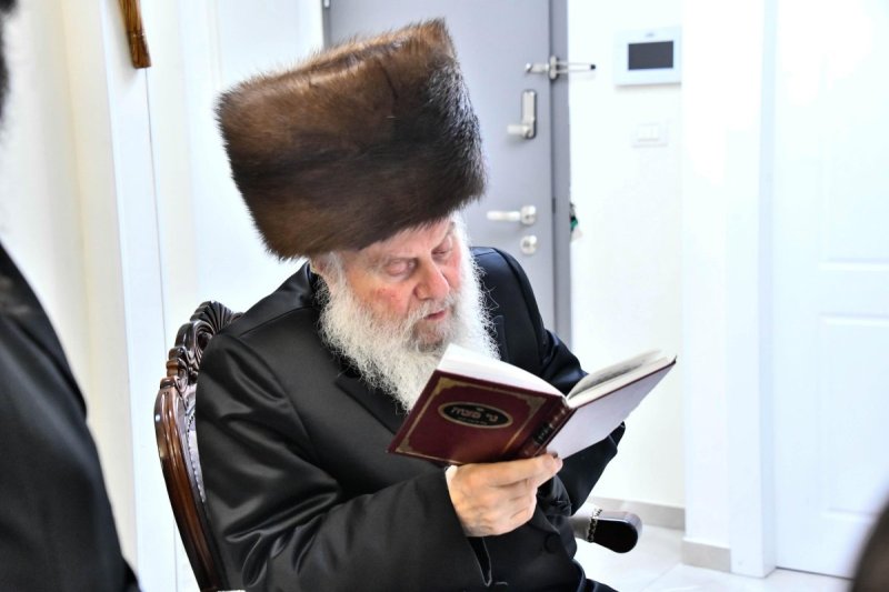 שוקי לרר