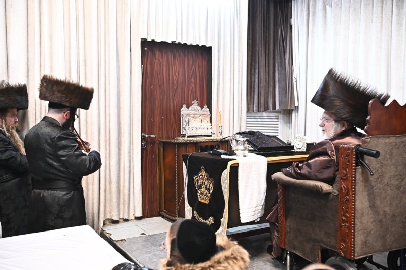 שוקי לרר