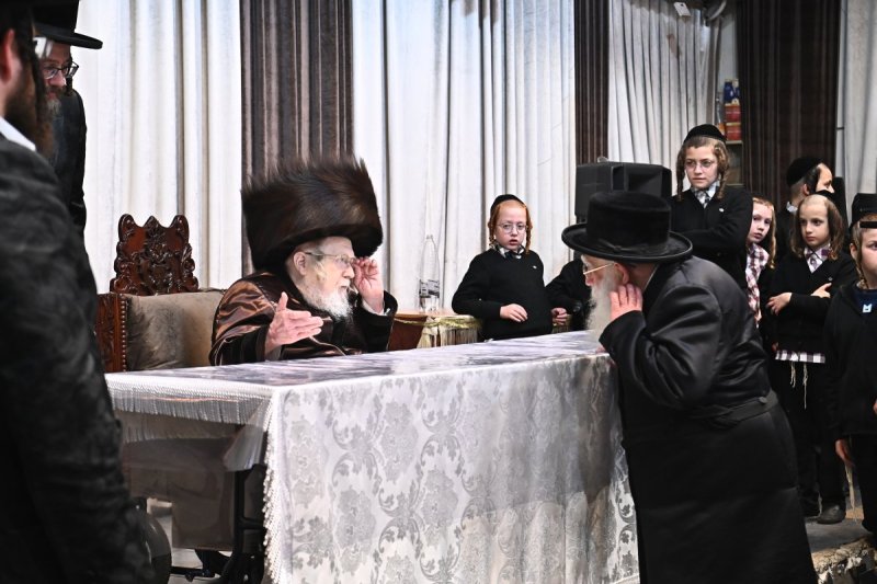 שוקי לרר