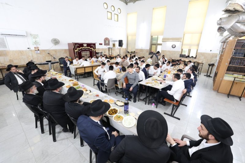 יעקב כהן