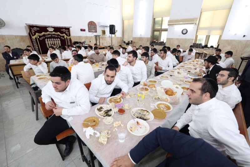 יעקב כהן