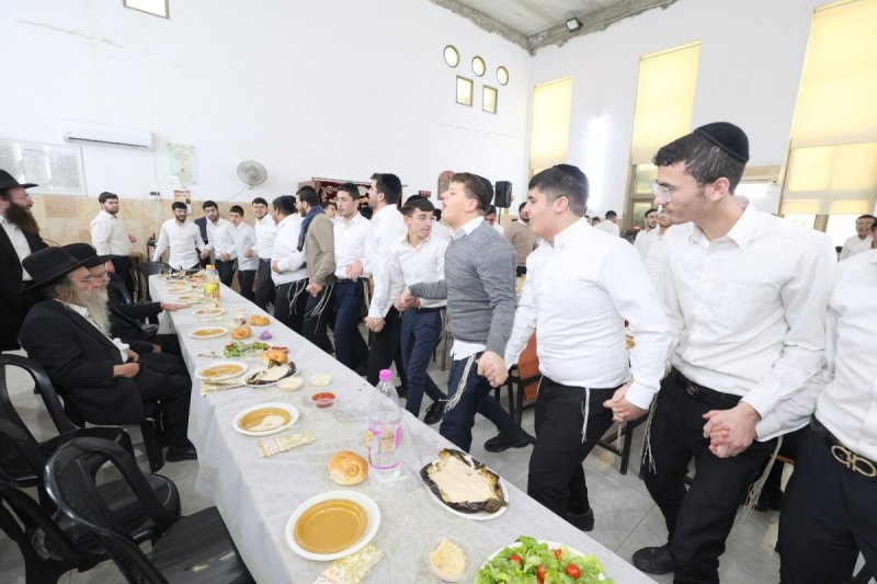 יעקב כהן