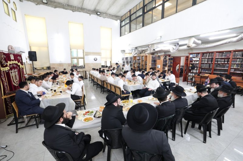 יעקב כהן
