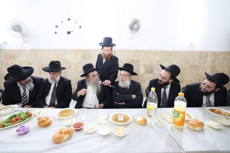 יעקב כהן