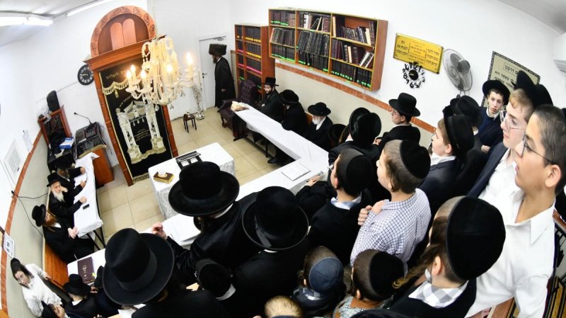 שוקי לרר