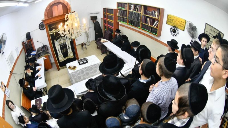 שוקי לרר