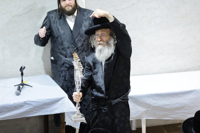 שמואל שנקר