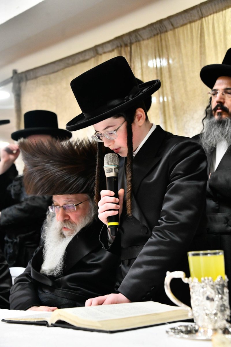 שוקי לרר