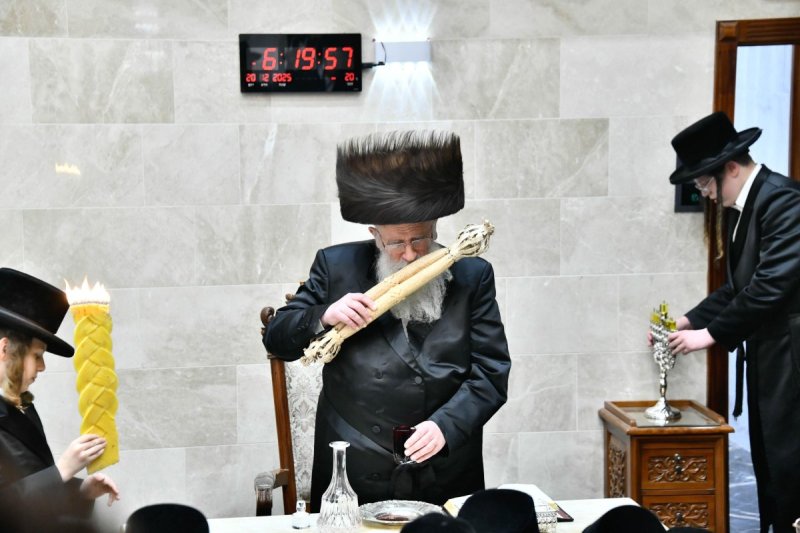 שוקי לרר