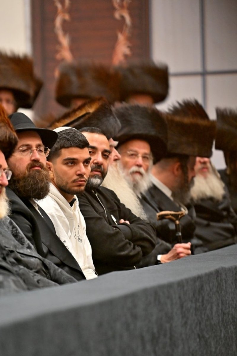 יהושע פרוכטר