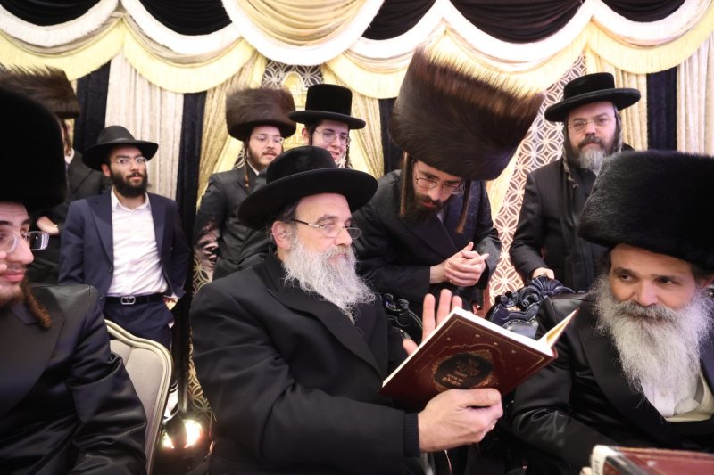 דוד ארזני