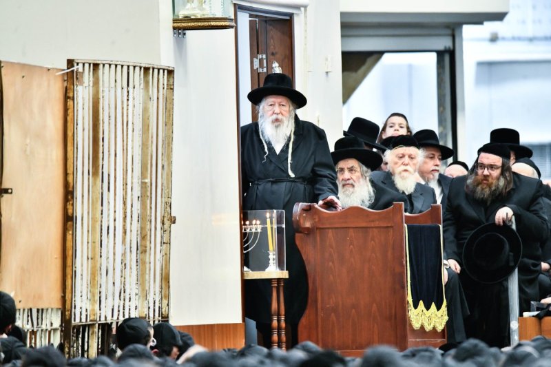 שוקי לרר