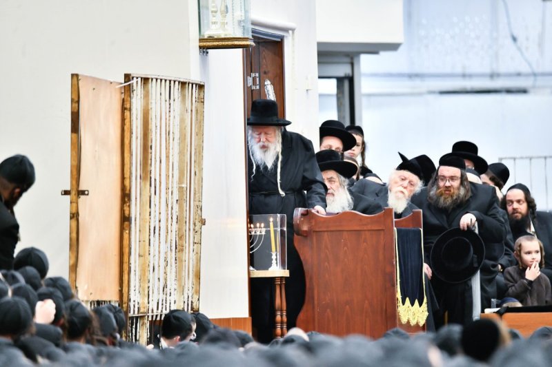 שוקי לרר