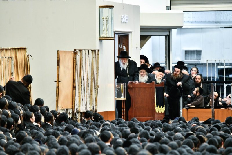 שוקי לרר