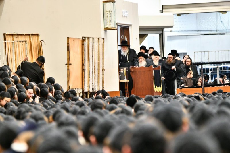 שוקי לרר