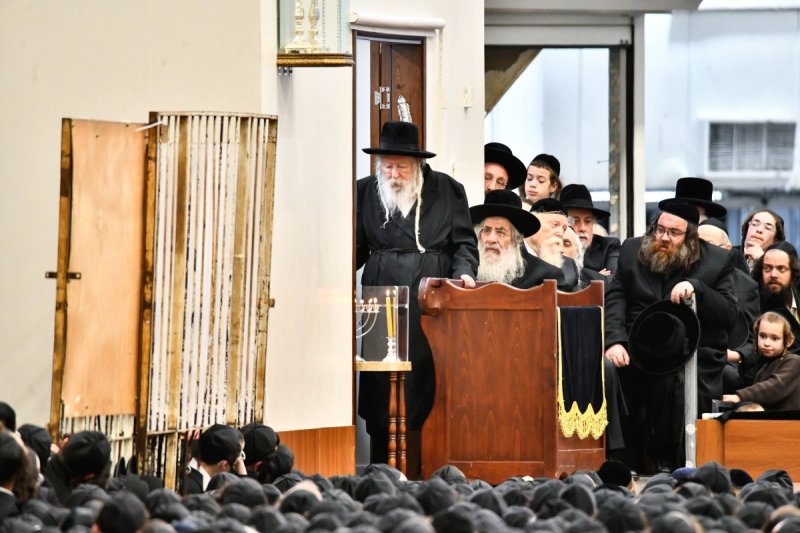 שוקי לרר