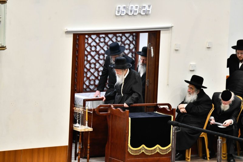 שוקי לרר