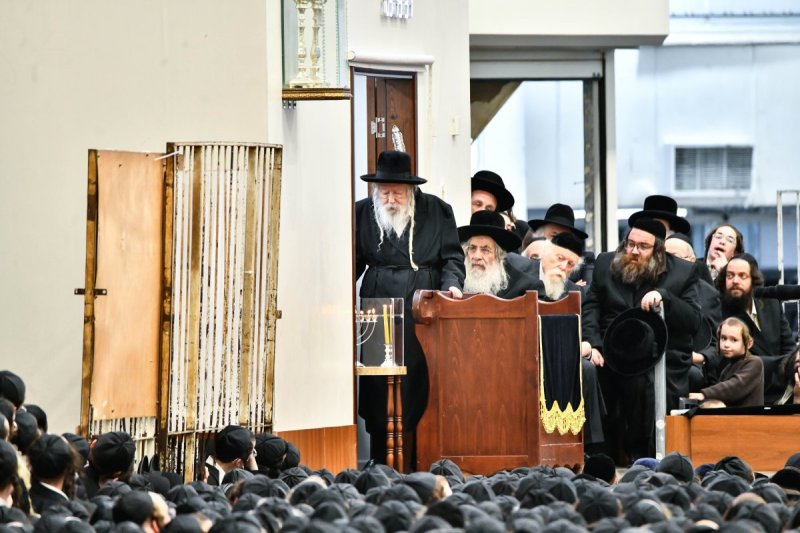 שוקי לרר