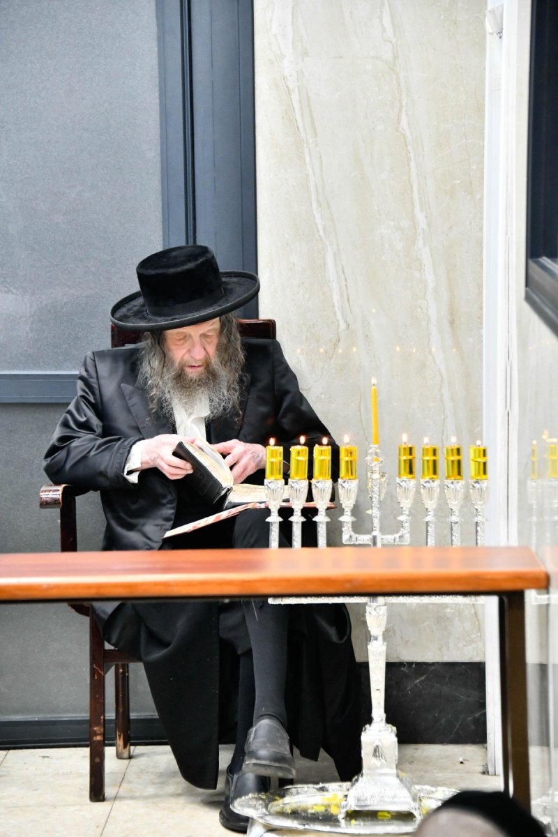 שוקי לרר