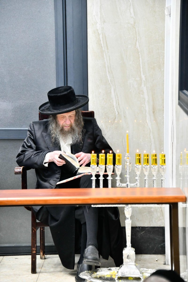 שוקי לרר