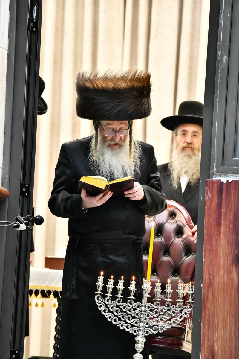 שוקי לרר
