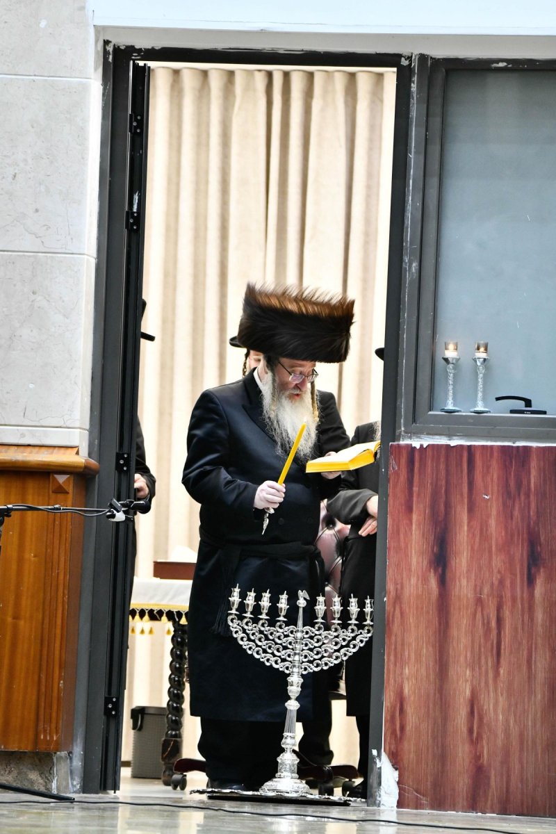 שוקי לרר