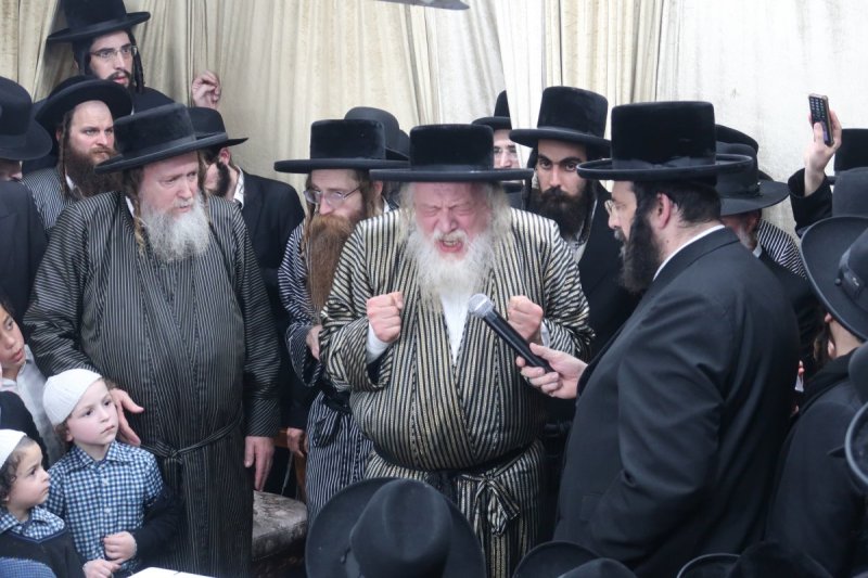 שימי פ.