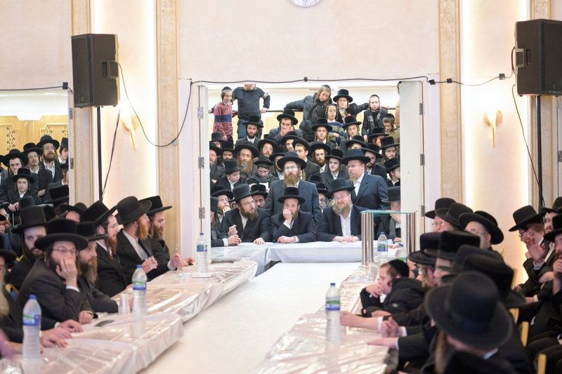 דודי בראון