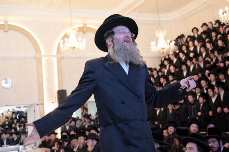 דודי בראון
