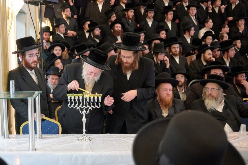דודי בראון