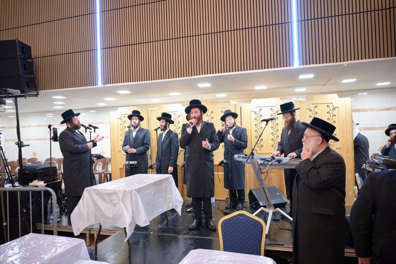 דודי בראון