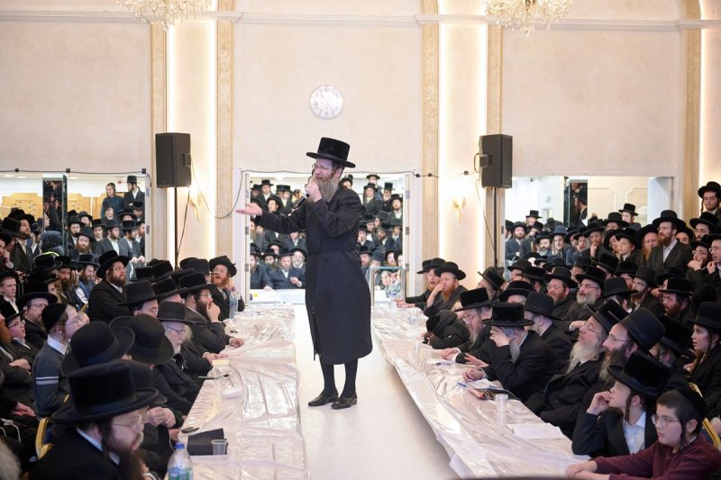 דודי בראון