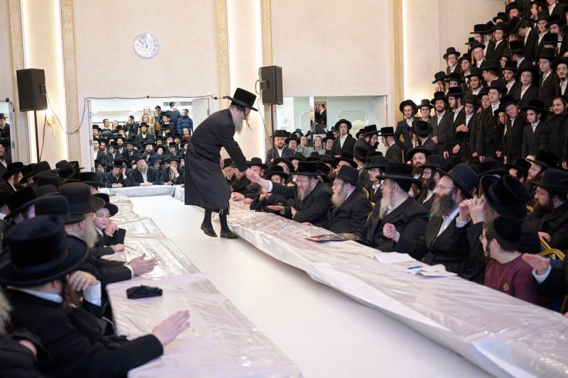 דודי בראון