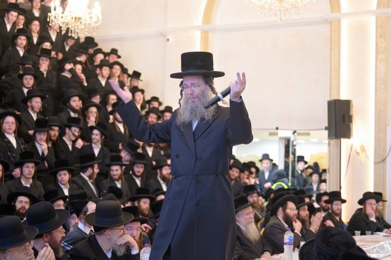 דודי בראון