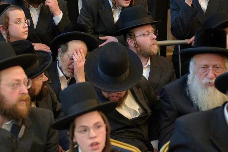 דודי בראון