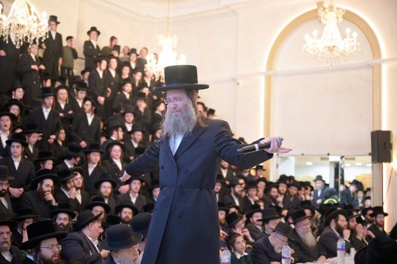 דודי בראון