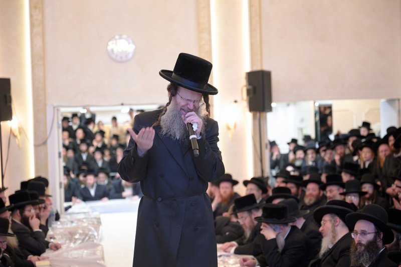 דודי בראון