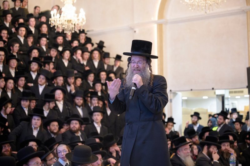 דודי בראון