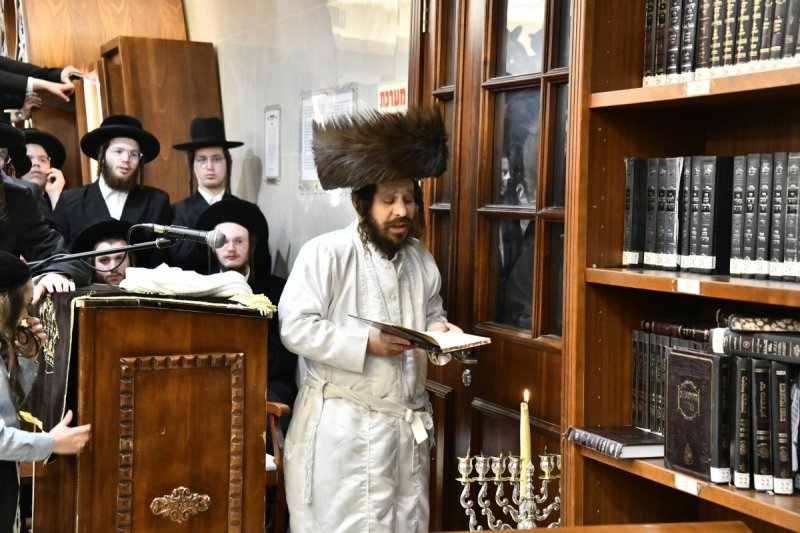 שוקי לרר